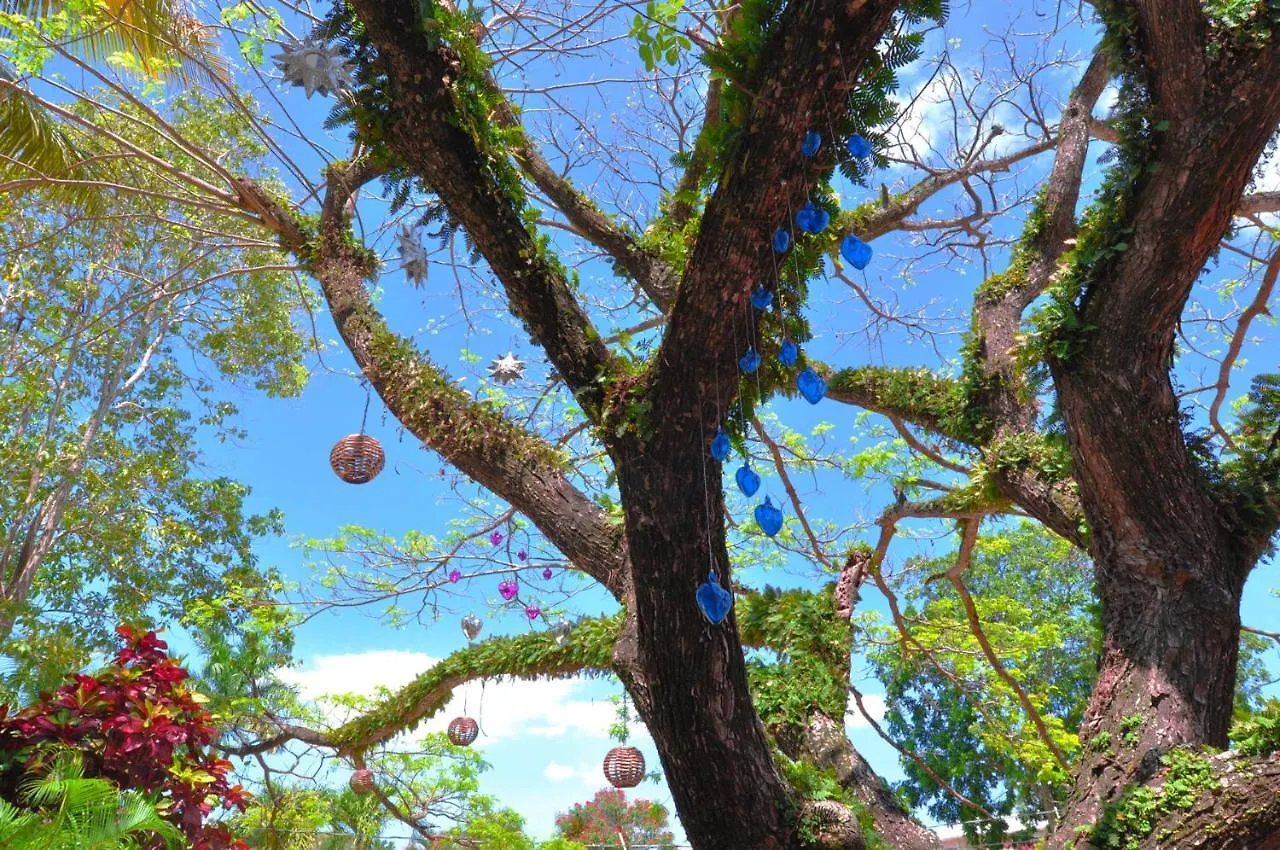 Colibri Boutique Hotel Sosua Dominican Republic